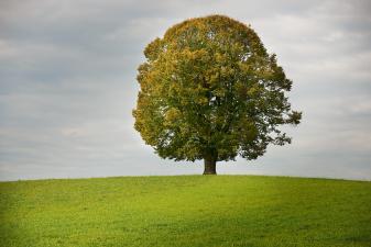 Gemeinde-Portal für Familien und Seniorinnen und Senioren